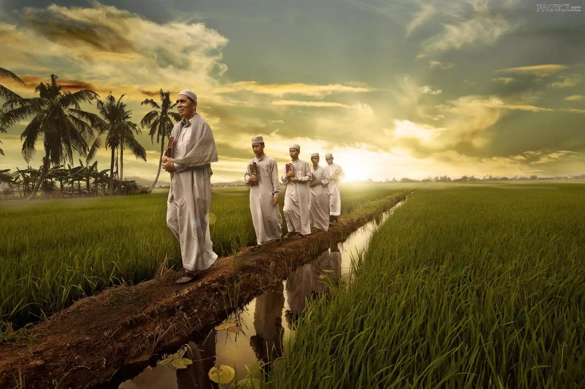 Pole, Chmury, Mężczyźni, Palmy